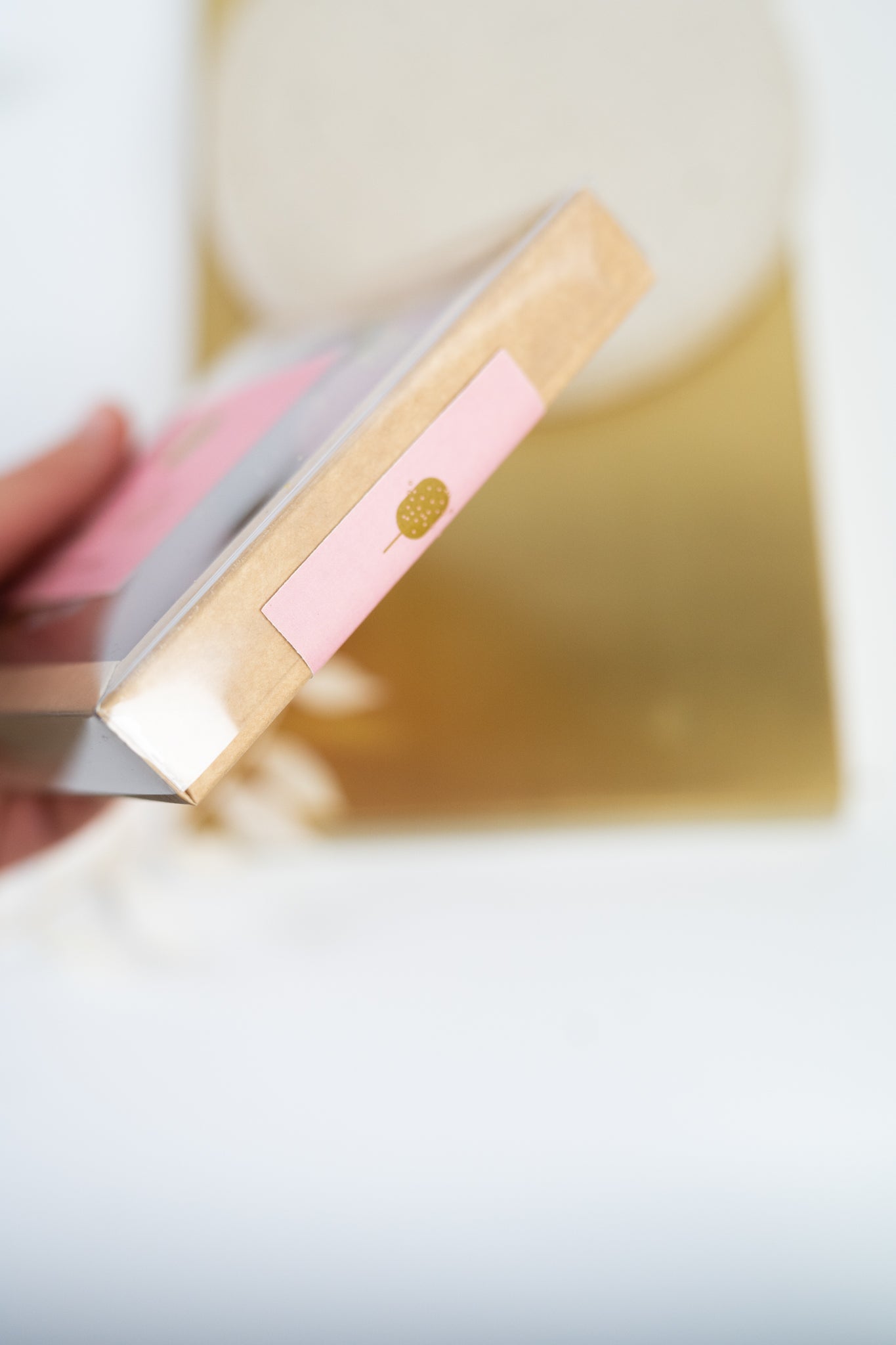 Himbeer-Pistazien Cake Pops 2St.